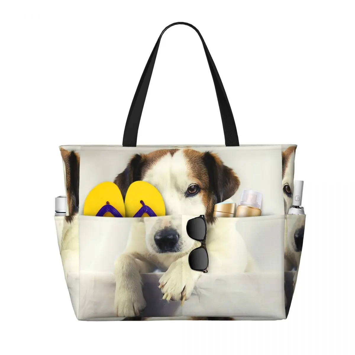 Dog Jack Russell Terrier Photo – Yoga Fitness Gym Photos Bewertung und Preis