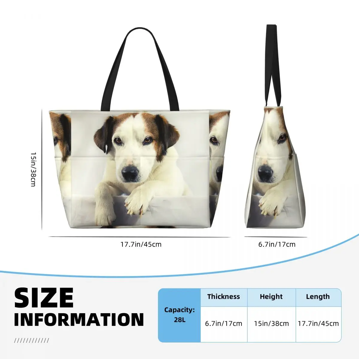 Dog Jack Russell Terrier Photo – Yoga Fitness Gym Photos Bewertung und Preis